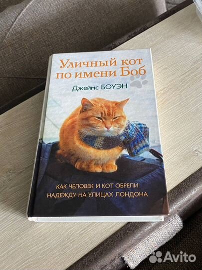 Книга Уличный кот по имени Боб