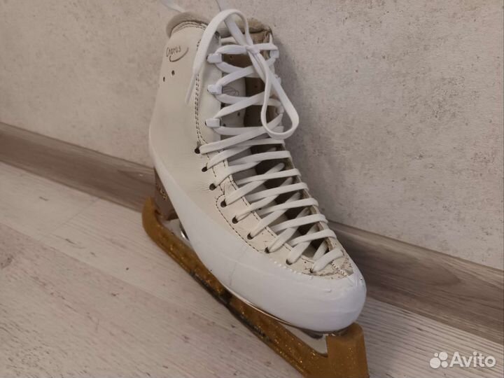 Коньки фигурные edea chorus 240