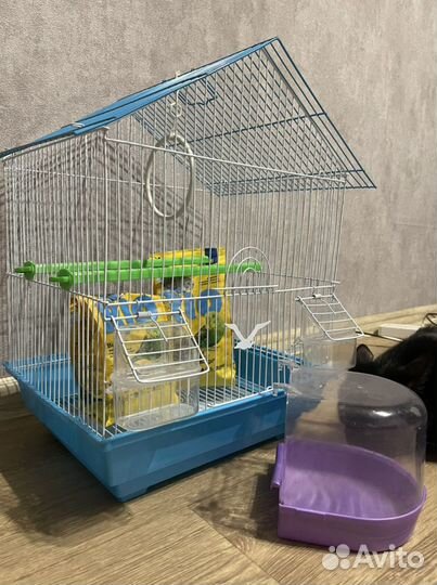 Клетка, купальник