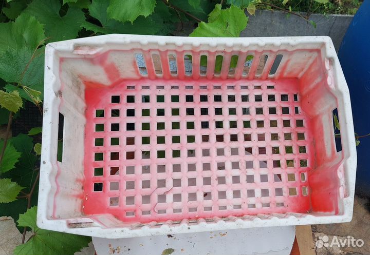 Ящик пластиковый для овощей