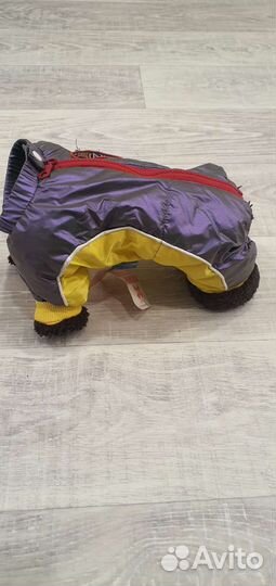 Одежда для собак мелких пород