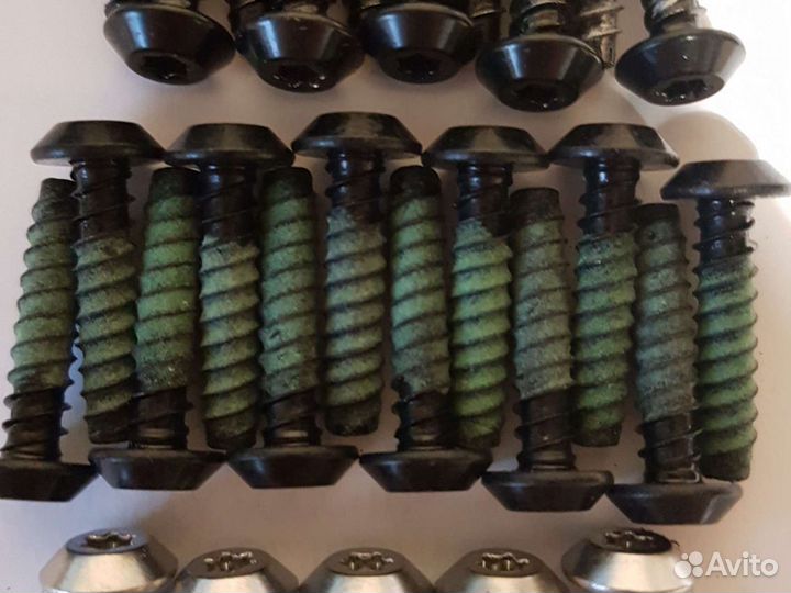 250000828 винт torx M6.81X30