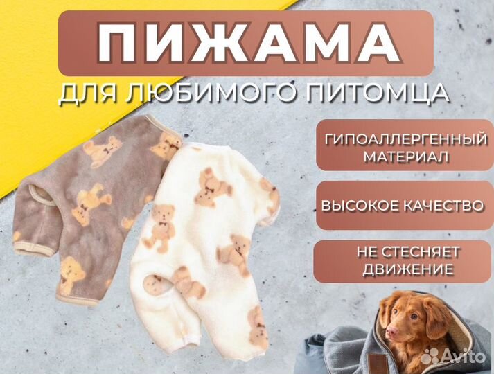 Одежда для собак мелких пород