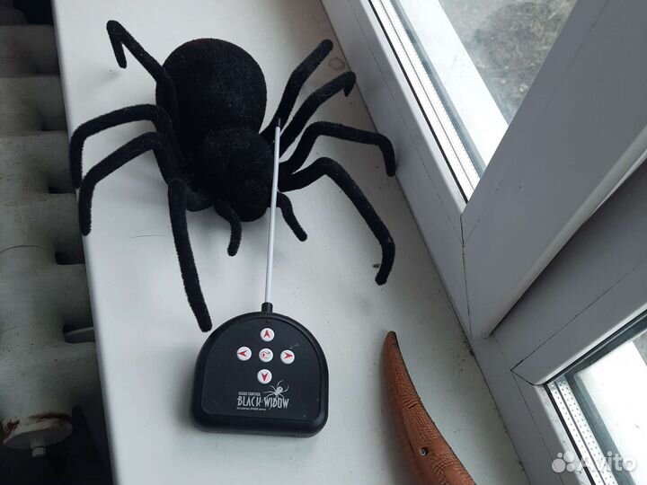 Паук на пульте, пол года веселья) как обычно)