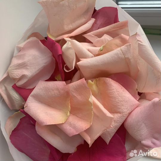 Лепестки роз Цветы