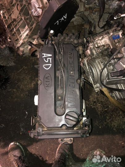Двигатель Kia Rio 1.5 A5D