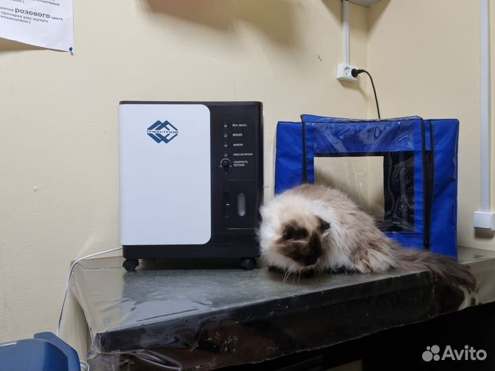 Кислородная камера для животных с Доставкой