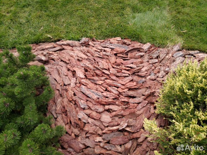 Кора, мульча Сосны: 