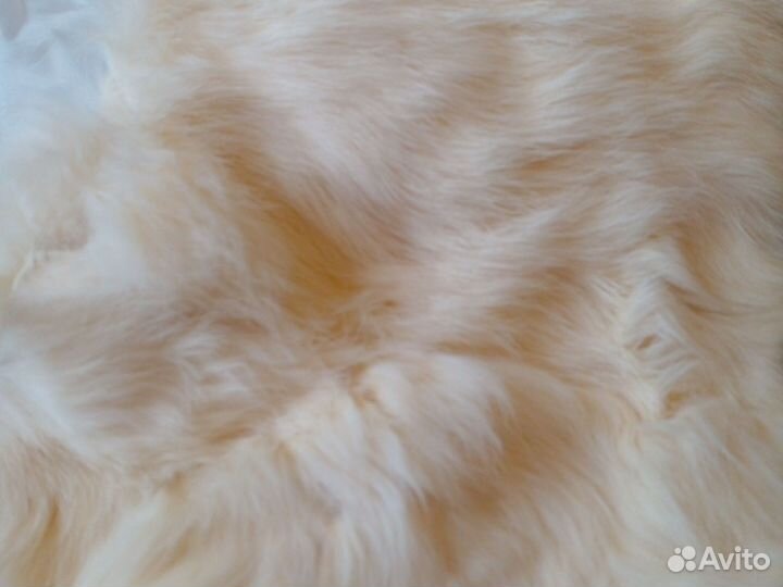 Меховой воротник