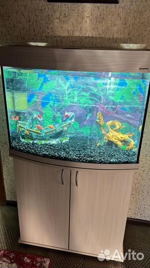 Аквариум