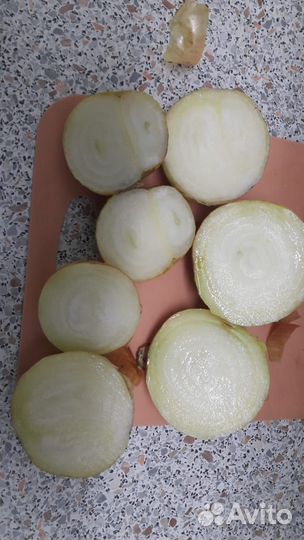 Лук репчатый на перо Калибр примерно 4-5