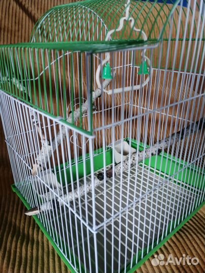 Клетка для волнистого попугая
