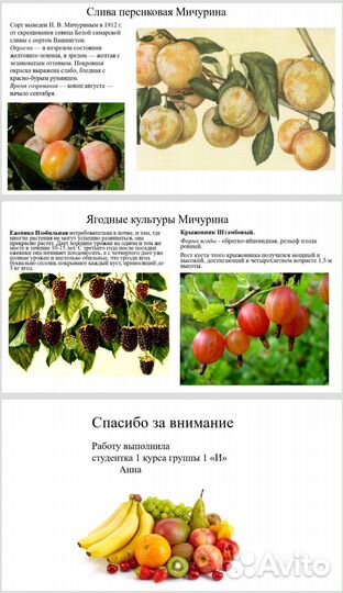 Создание презентации power point