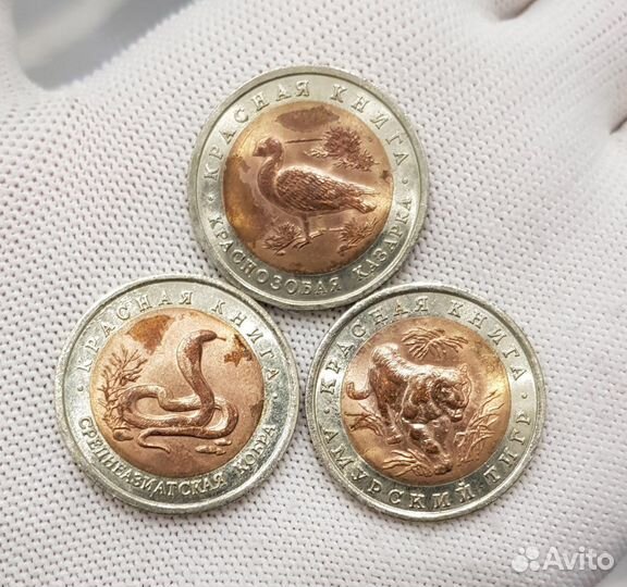 Красная книга 1992 г Кобра казарка тигр