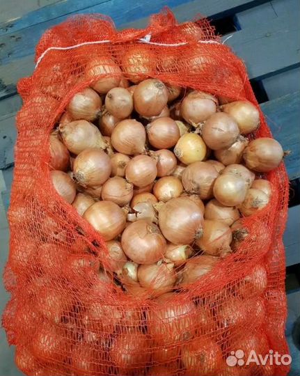 Картофель, лук,морковь