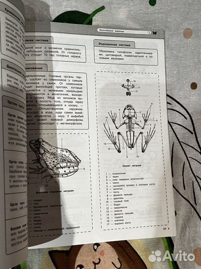 Справочная литература