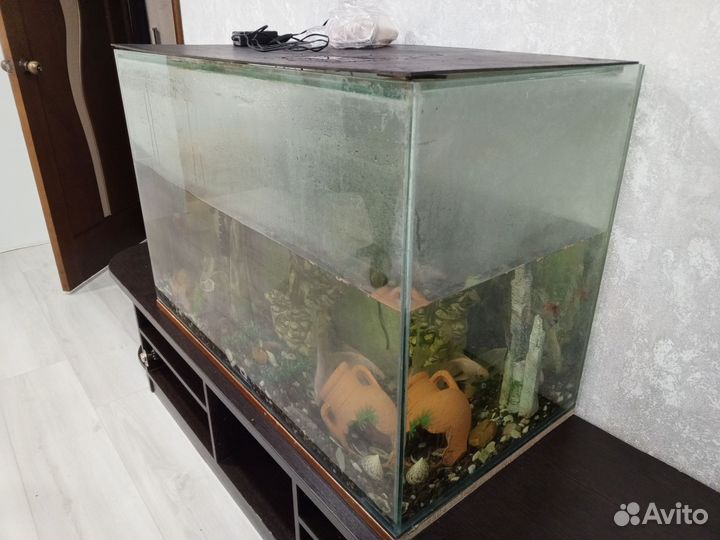 Аквариум