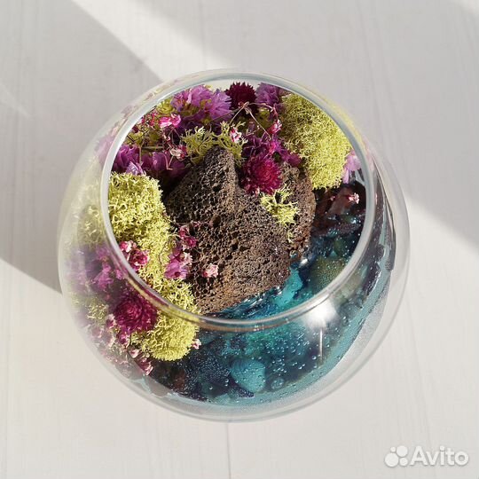 Подарки Моссариумы