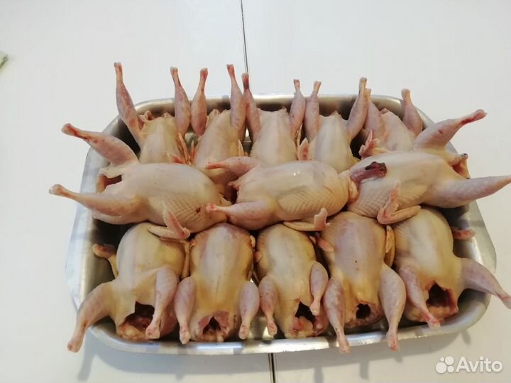 Перепелки тушки