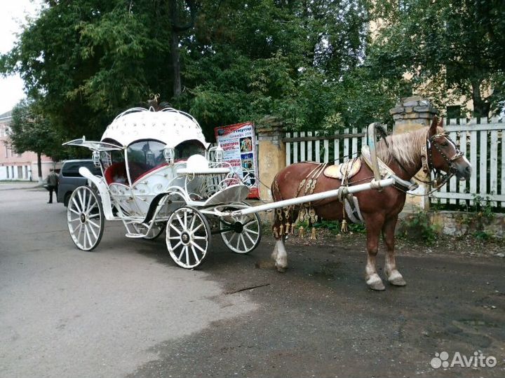 Кареты для вашего праздника