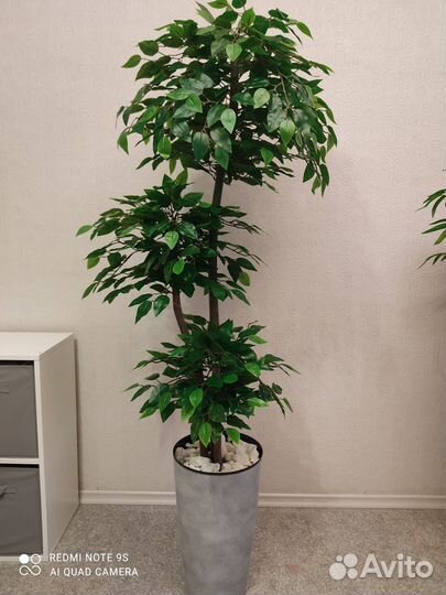 Фикус искусственный зеленый