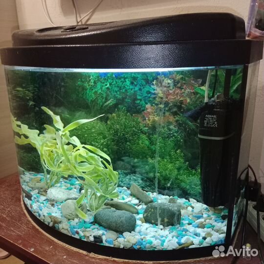 Аквариум 80л