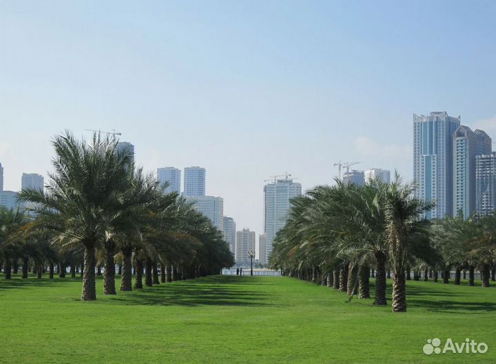 Вояж в г. Шарджу от 7 нч