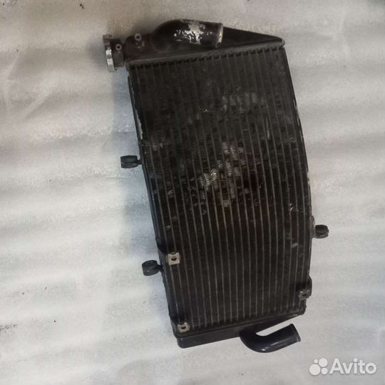 Радиатор Honda CBR 954RR