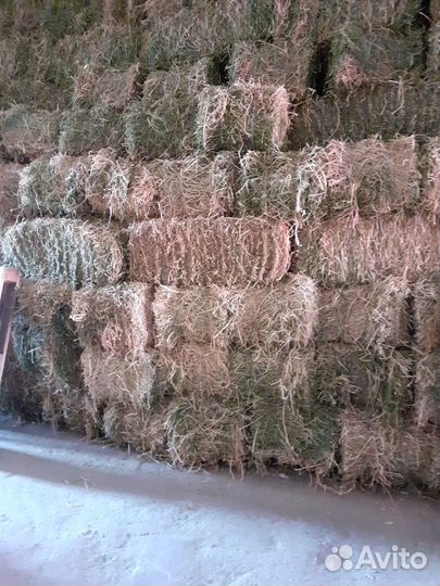 Сено люцерны, сено разнотравье, солома