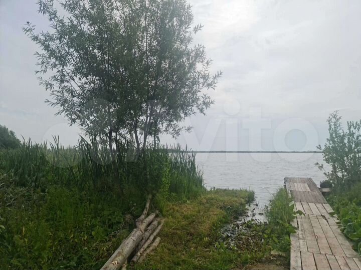 Участок 6 сот. (СНТ, ДНП)