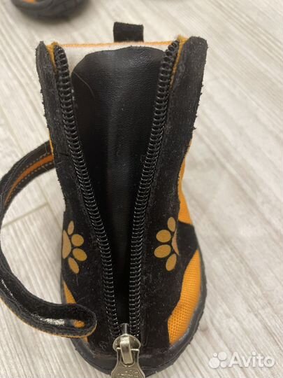 Ботинки для собак