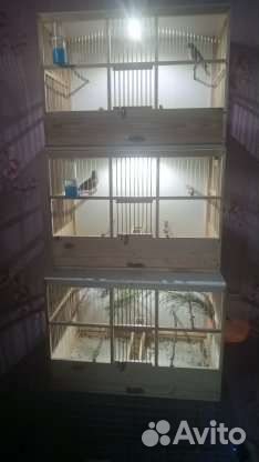 Прозрачные клетки для певчих птиц