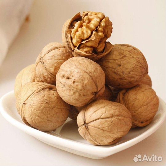 Продаются грецкие орехи