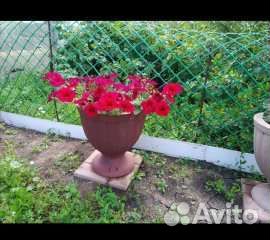 Вазон,горшок