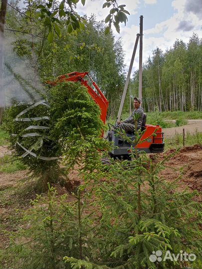Услуги мини экскаватора и трактора. Дробилка