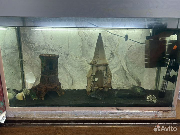 Аквариум
