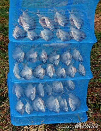 Сушилка для рыбы