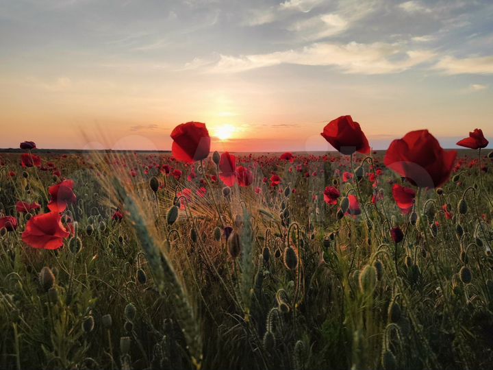 Участок 8,24 га (СНТ, ДНП)