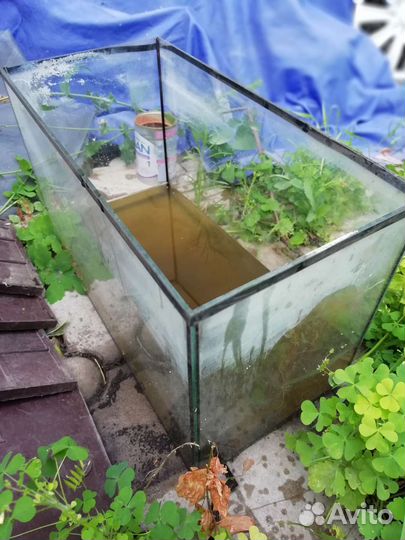 Аквариум. Размеры 52,5х34х25