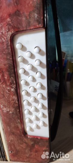 Гармонь шуйская чайка