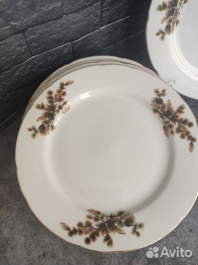 Плоские тарелки СССР