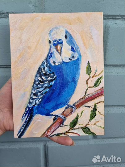 Попугайчик картина Попугай волнистый маслом