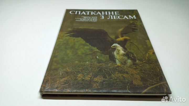 Спатканне з лесам (Свидание с лесом). В. Алешка