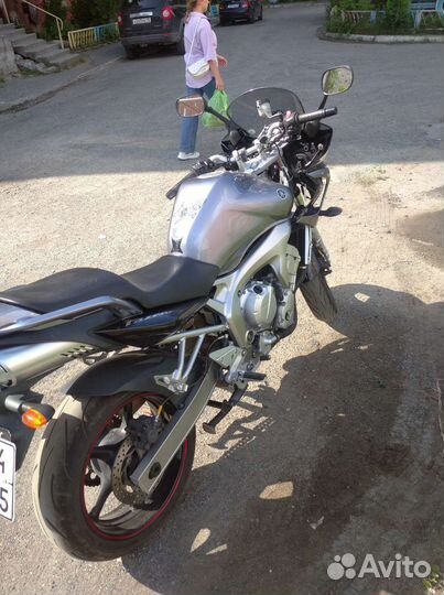 Yamaha FZ6s