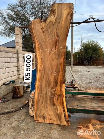 Слэб карагач