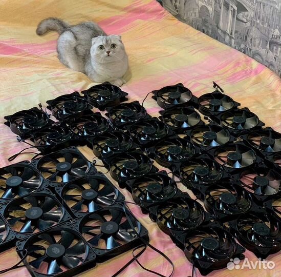 Скупка пк, Комплектующих, ноутбуков и др