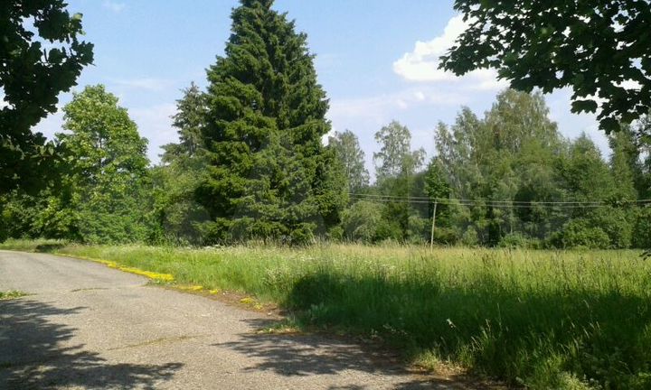 Участок 25 сот. (СНТ, ДНП)