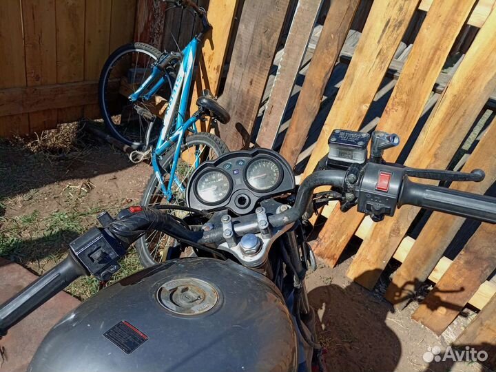 Продаю или обмен ирбис гс 150