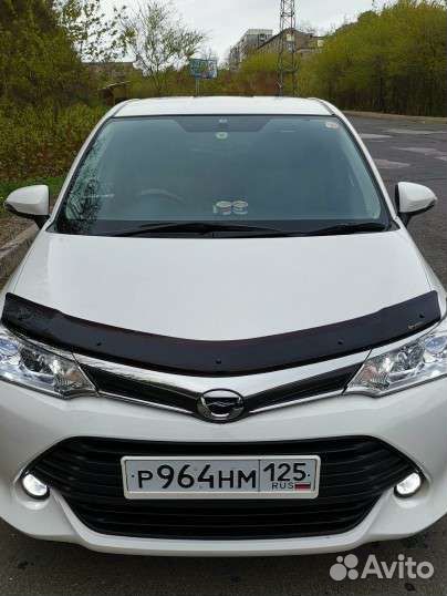 Мухобойник на капот