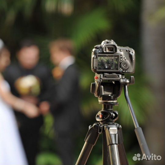 Съемка/Монтаж видеороликов на заказ